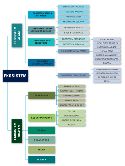 Ekosistem-Indonesia-3