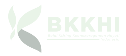 Logo-Light