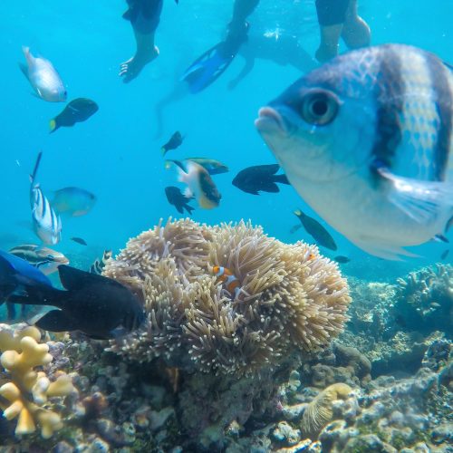 Karimun Jawa