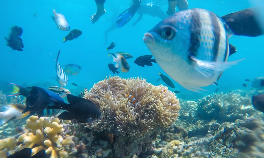 Karimun Jawa