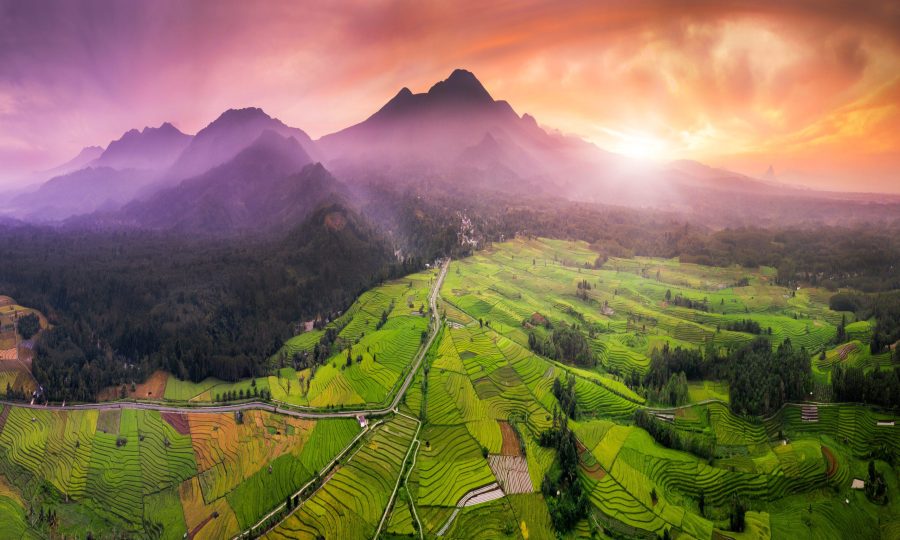 the-natural-beauty-of-indonesia-where-the-mountain-range-and-extensive-rice-fields-with-forests